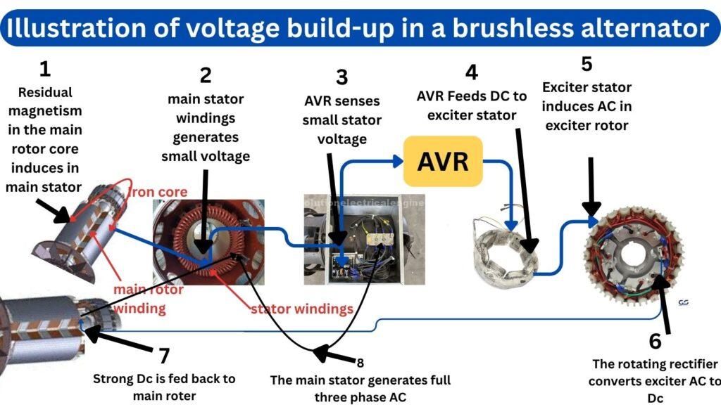How voltage build-up in a brushless alternator