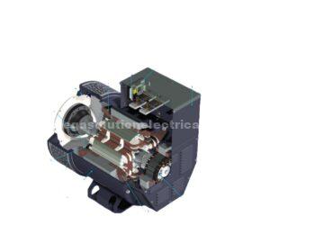 How voltage build-up in a brushless alternator 2 How voltage build-up in a brushless alternator 2